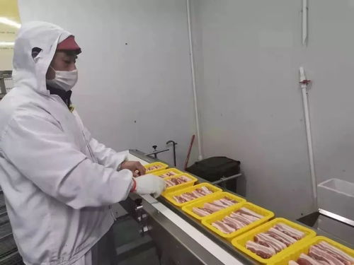因為光明，所以溫暖 光明食品集團以實際行動服務社會，守護大眾健康
